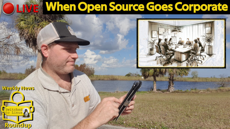 When Open Source Goes Corporate
